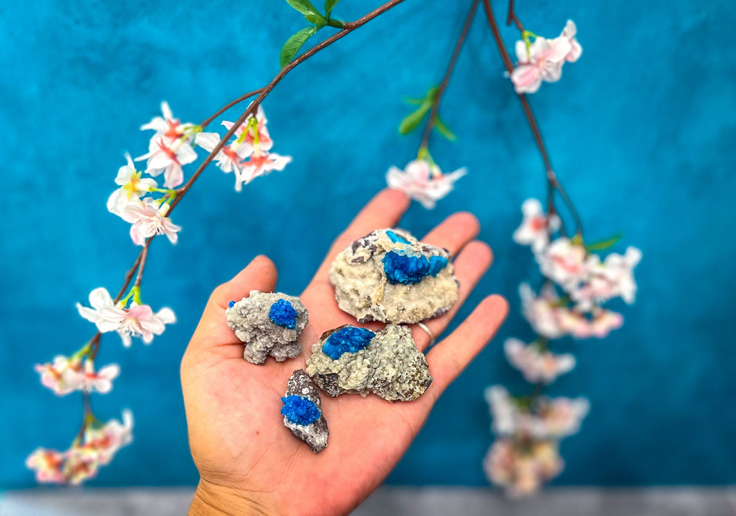 Raw Cavansite Crystal Specimens
