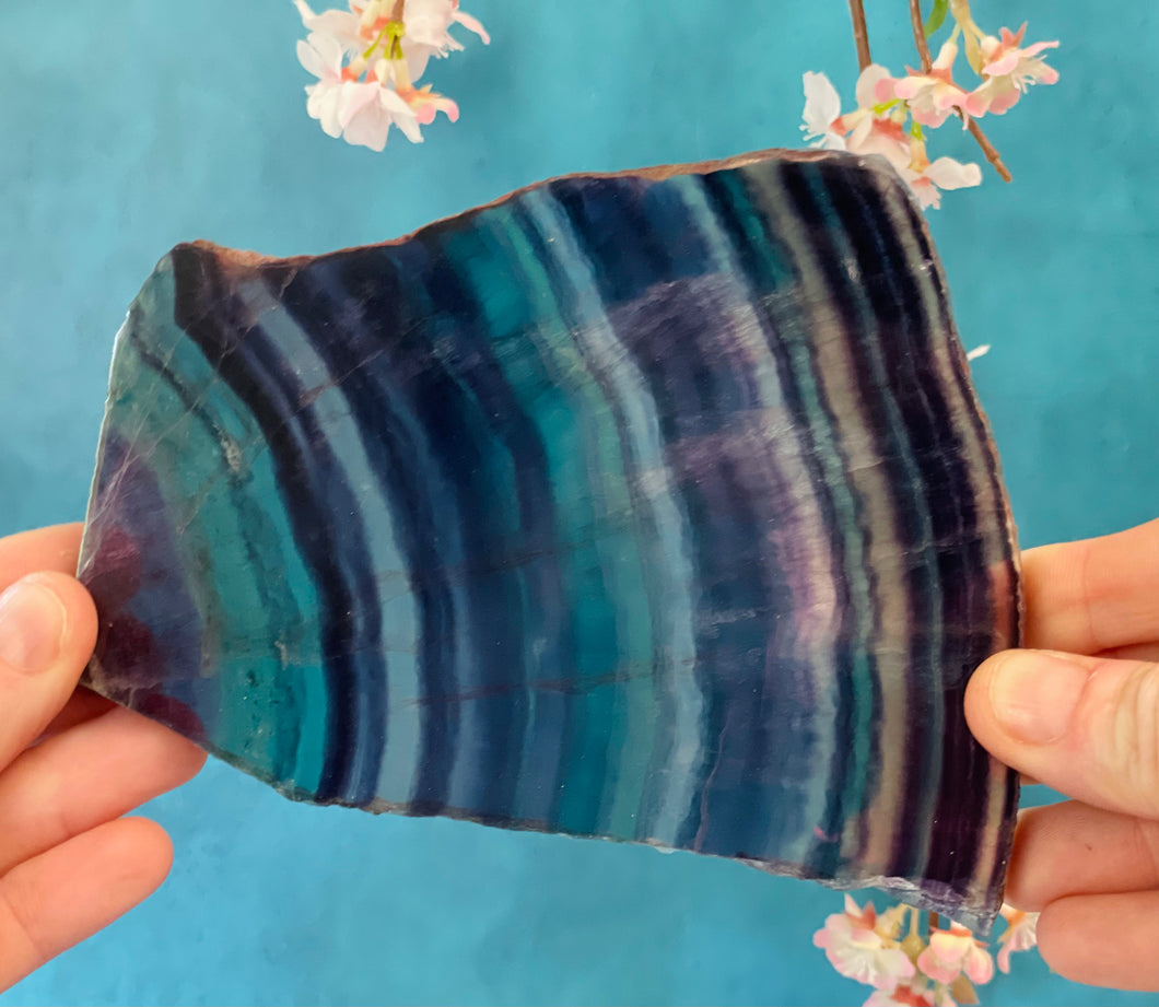 Rainbow Fluorite Slices