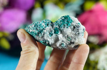 Load image into Gallery viewer, Quartz Dioptase
