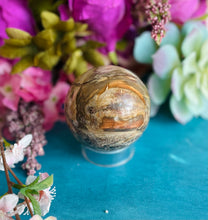 Load image into Gallery viewer, Petrified Wood Sphere
