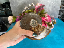 Load image into Gallery viewer, Large Ammonite
