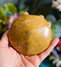 Load image into Gallery viewer, Fossilized Sand Dollar
