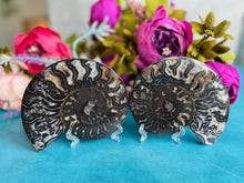 Load image into Gallery viewer, Black Ammonite Pair
