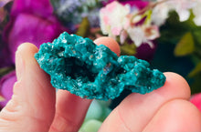 Load image into Gallery viewer, Full on Dioptase!
