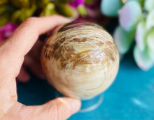 Load image into Gallery viewer, Petrified Wood Sphere
