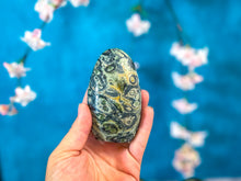 Load image into Gallery viewer, Kambaba Jasper Standing Crystal Freeform
