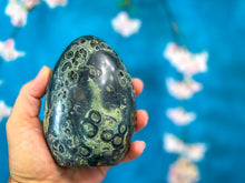 Load image into Gallery viewer, Kambaba Jasper Standing Crystal Freeform
