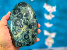 Load image into Gallery viewer, Kambaba Jasper Standing Crystal Freeform
