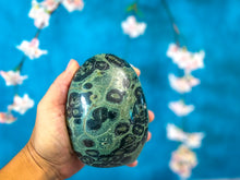 Load image into Gallery viewer, Kambaba Jasper Standing Crystal Freeform
