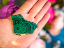 Load image into Gallery viewer, Orbicular Malachite Slice, Polished One Side Only
