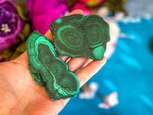 Load image into Gallery viewer, Orbicular Malachite Slice, Polished One Side Only
