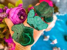 Load image into Gallery viewer, Orbicular Malachite Slice, Polished One Side Only
