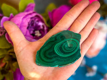 Load image into Gallery viewer, Orbicular Malachite Slice, Polished One Side Only
