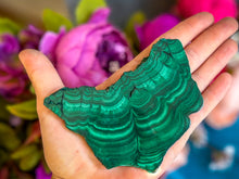Load image into Gallery viewer, Orbicular Malachite Slice, Polished One Side Only
