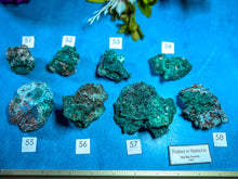 Load image into Gallery viewer, Raw Dioptase Crystal Specimens, You Choose Piece
