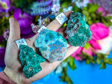 Load image into Gallery viewer, Raw Dioptase Crystal Specimens, You Choose Piece
