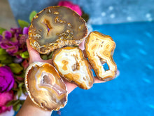 Load image into Gallery viewer, Natural Yellow Agate Slices, Some with Druzies!

