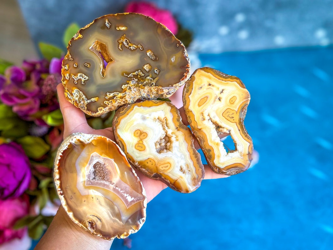 Natural Yellow Agate Slices, Some with Druzies!