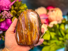 Load image into Gallery viewer, Petrified Wood Freeforms, Ethically Sourced Crystals
