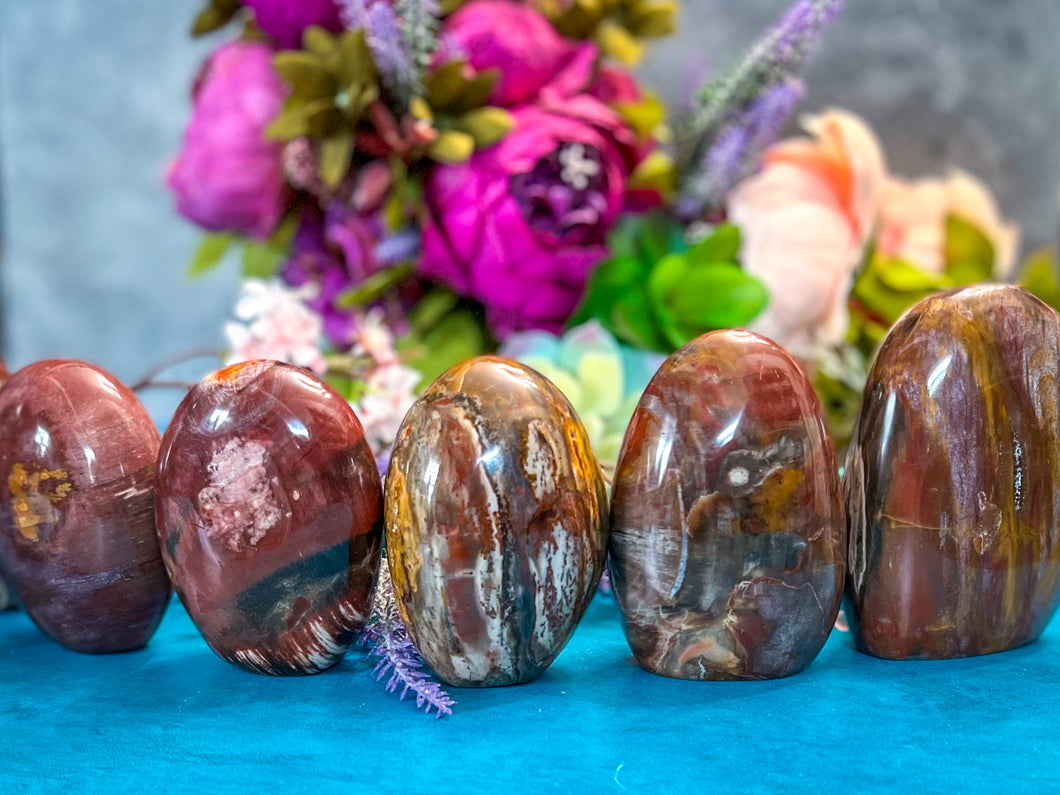 Petrified Wood Freeforms, Ethically Sourced Crystals