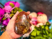 Load image into Gallery viewer, Petrified Wood Freeforms, Ethically Sourced Crystals
