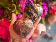 Load image into Gallery viewer, Ethically Sourced Petrified Wood Hearts
