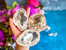 Load image into Gallery viewer, Petrified Wood SLICES or Slabs
