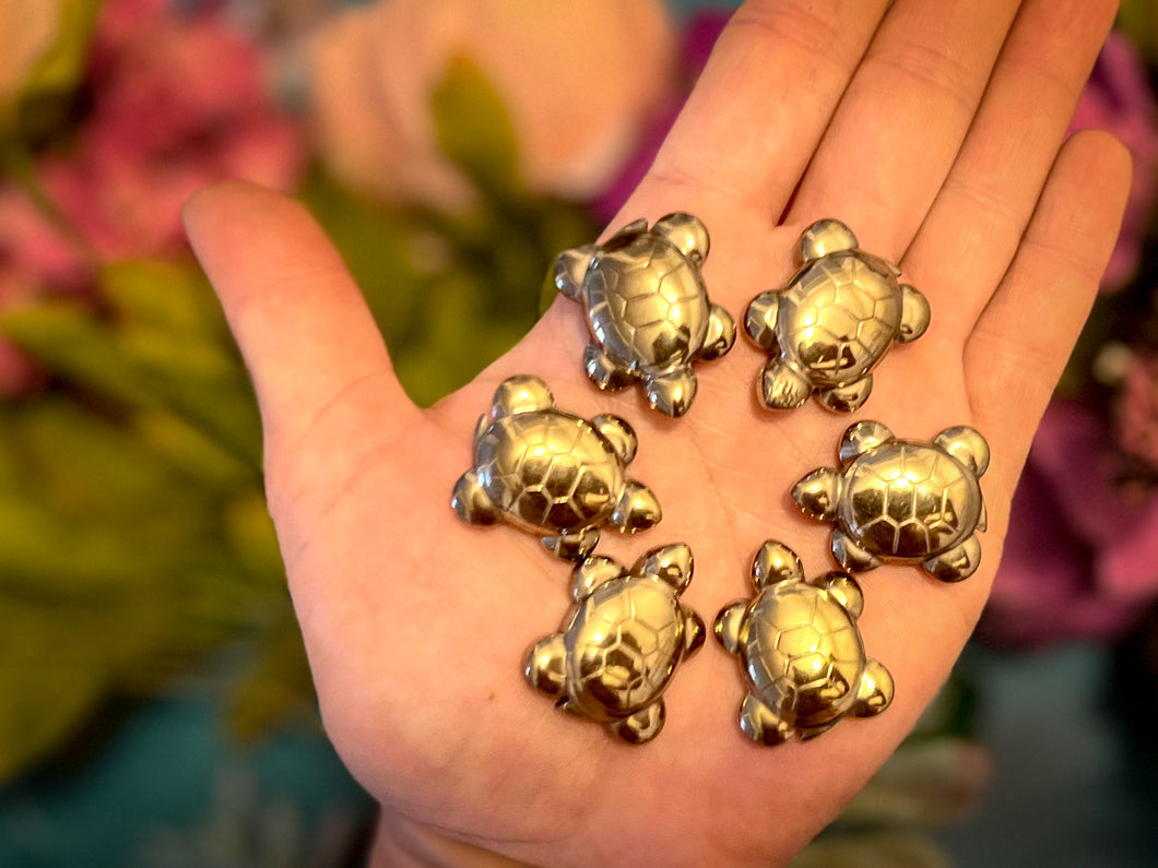 Cute Pyrite Turtle