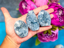 Load image into Gallery viewer, Ethically Sourced CELESTITE Freeforms, 25-450 Grams
