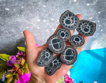 Load image into Gallery viewer, Septarian Nodule Pairs
