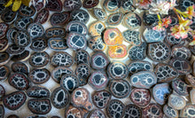 Load image into Gallery viewer, Septarian Nodule Pairs
