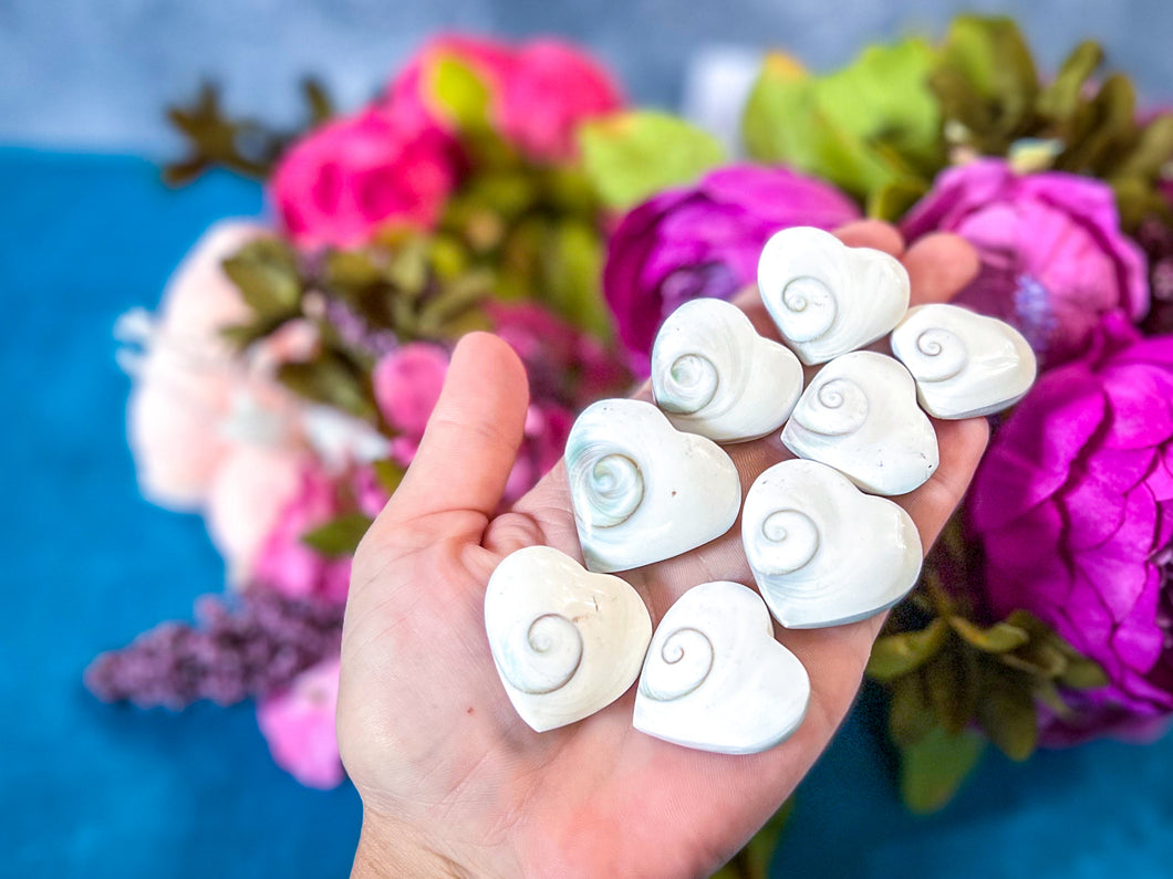 Spiral Shell Heart, Shiva Eye Heart