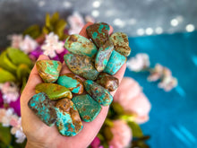 Load image into Gallery viewer, Kingman Turquoise, Rough Tumbled Turquoise Nuggets
