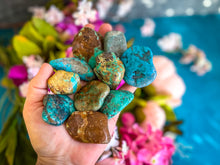 Load image into Gallery viewer, Kingman Turquoise, Rough Tumbled Turquoise Nuggets
